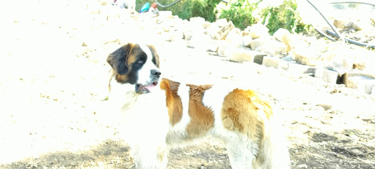 Post Image 2