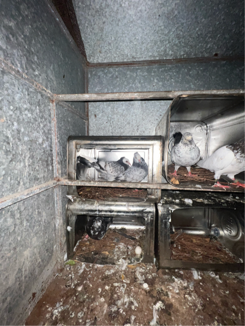 Post Image 2