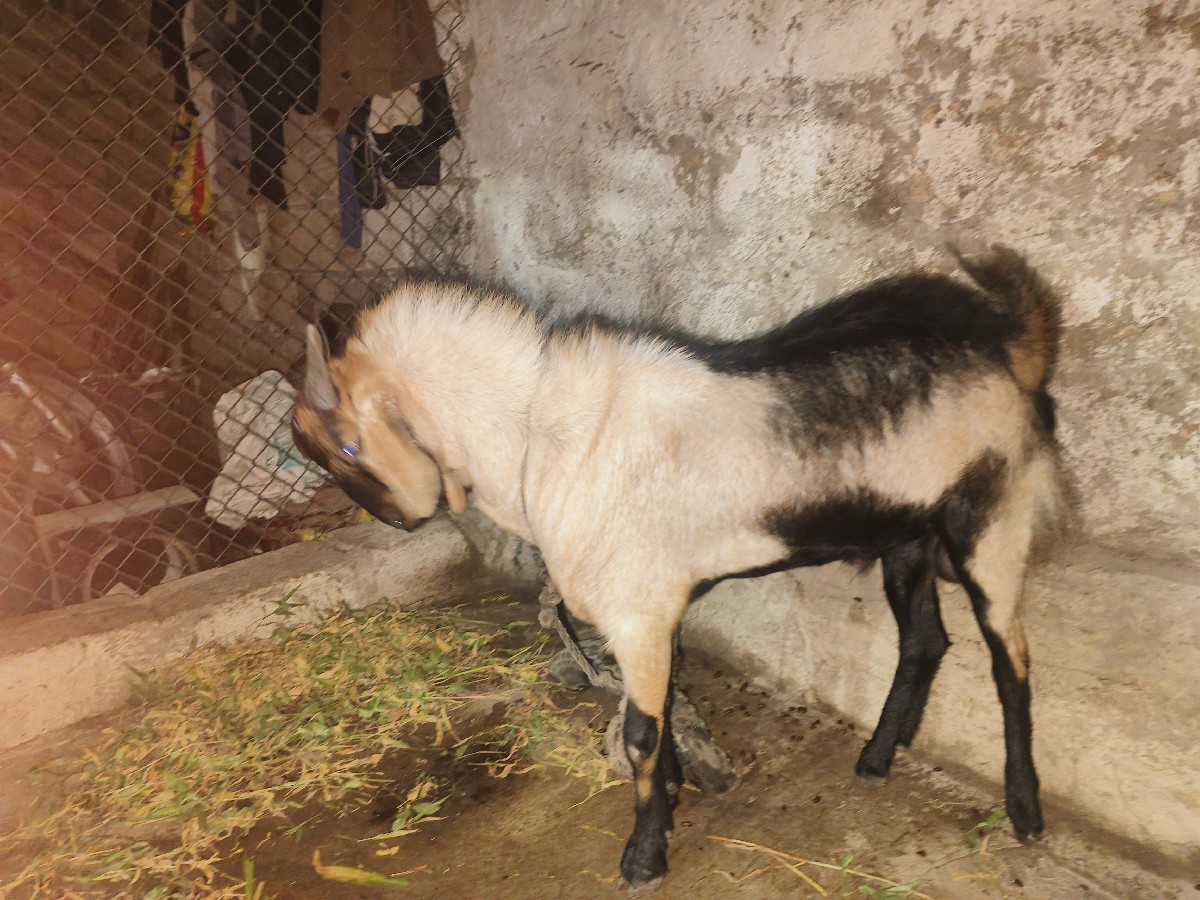 Post Image 2