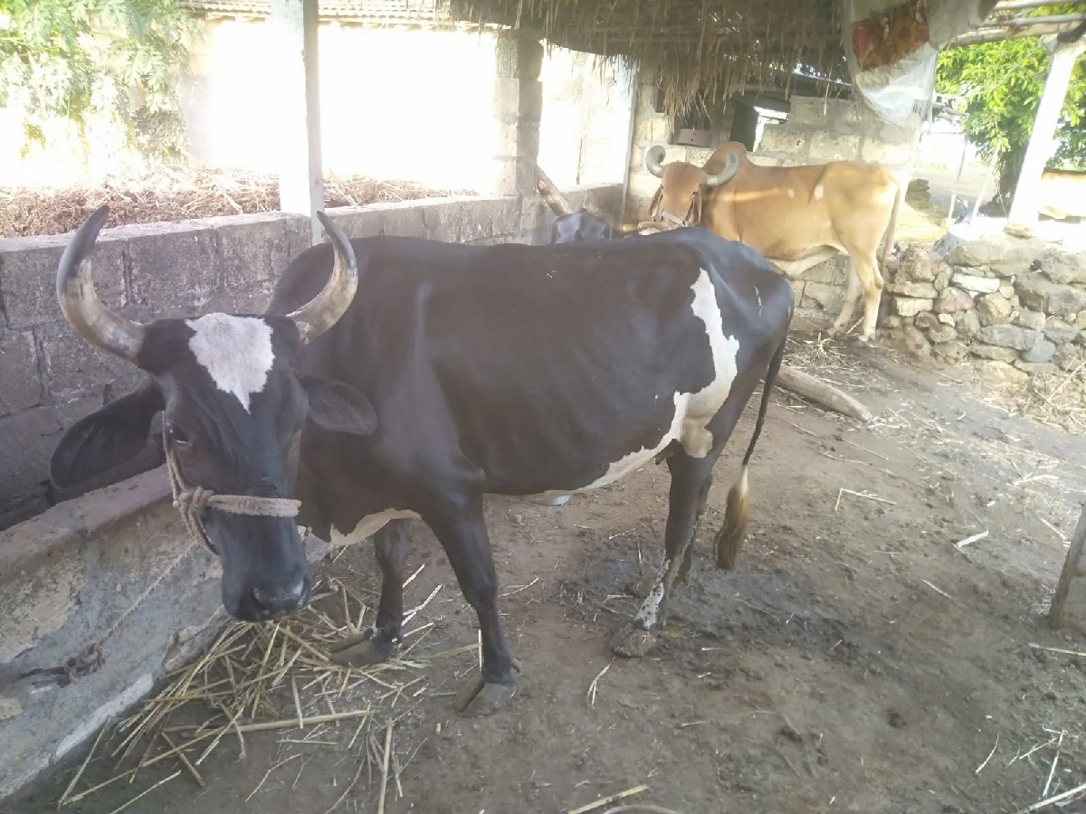 Post Image 2