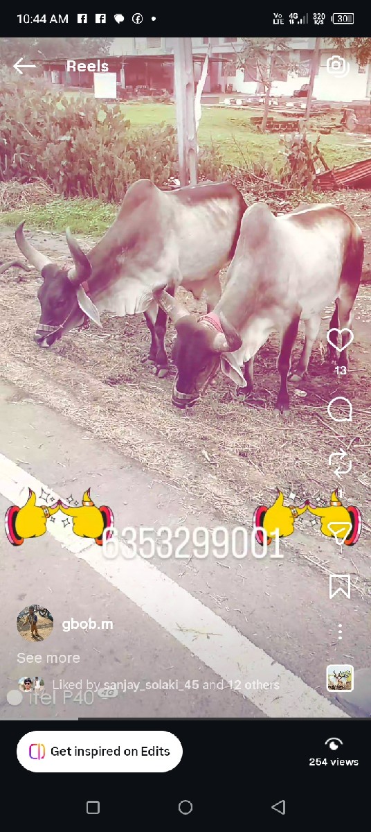 Post Image 2