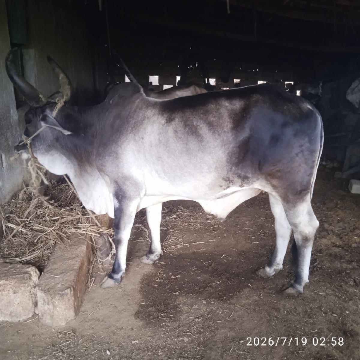 Post Image 3