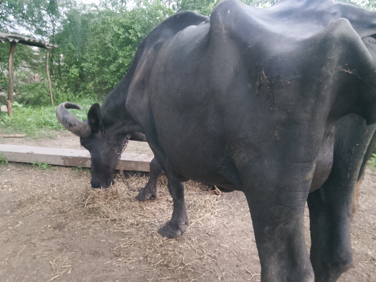 Post Image 4