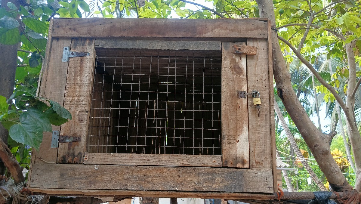 Post Image 1