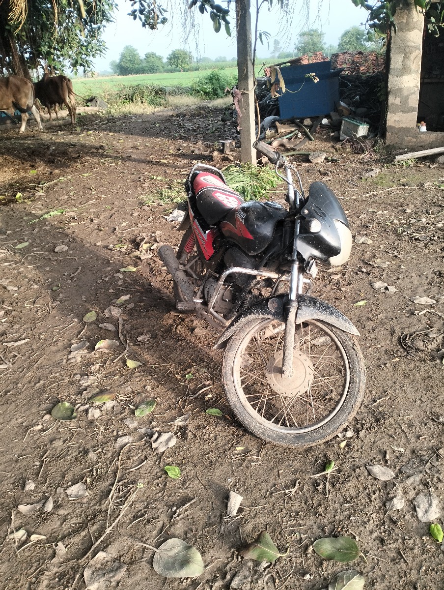 Post Image 2
