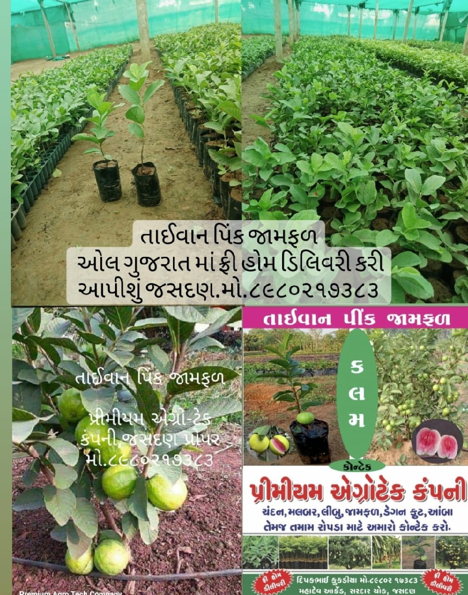 Post Image 5