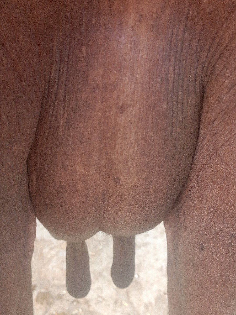 Post Image 2