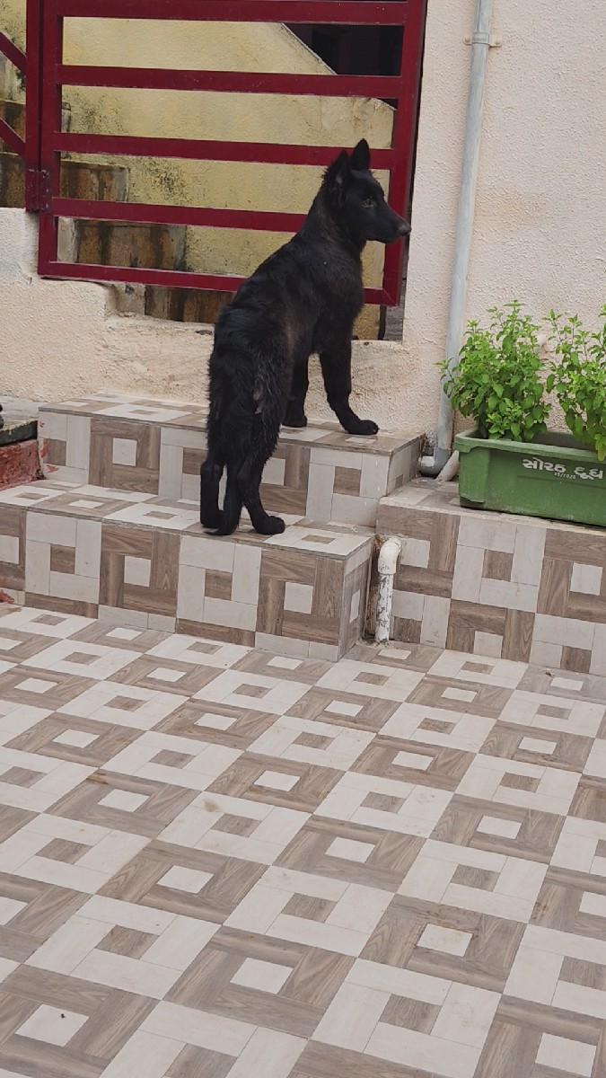 Post Image 1