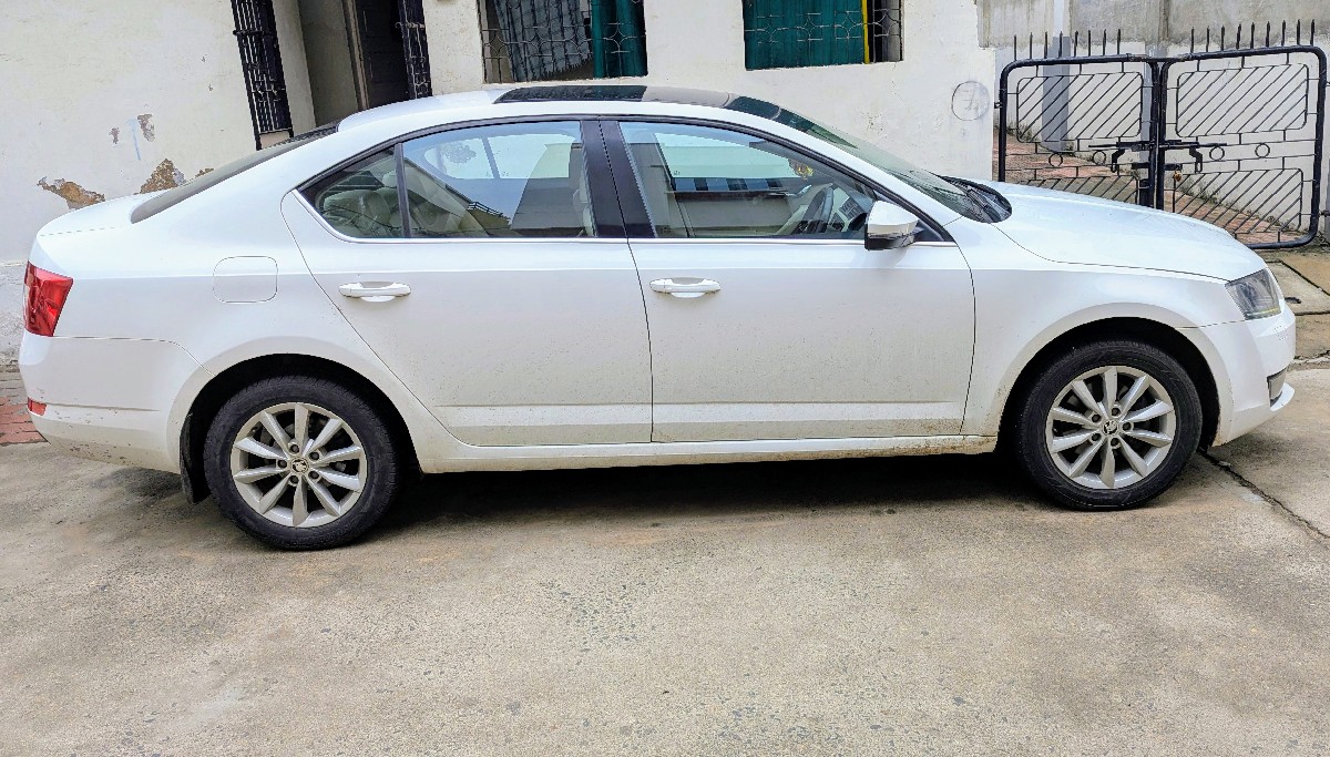 Post Image 3