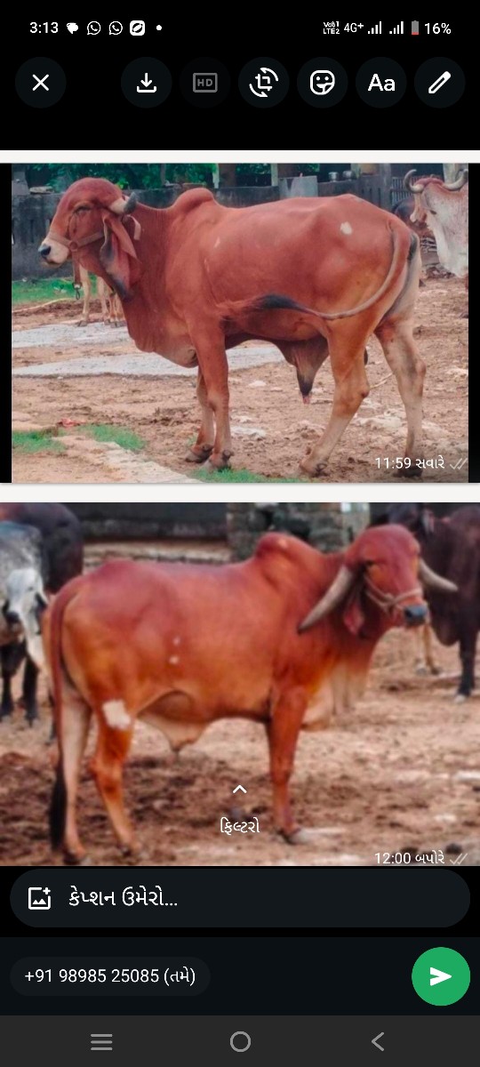 Post Image 2