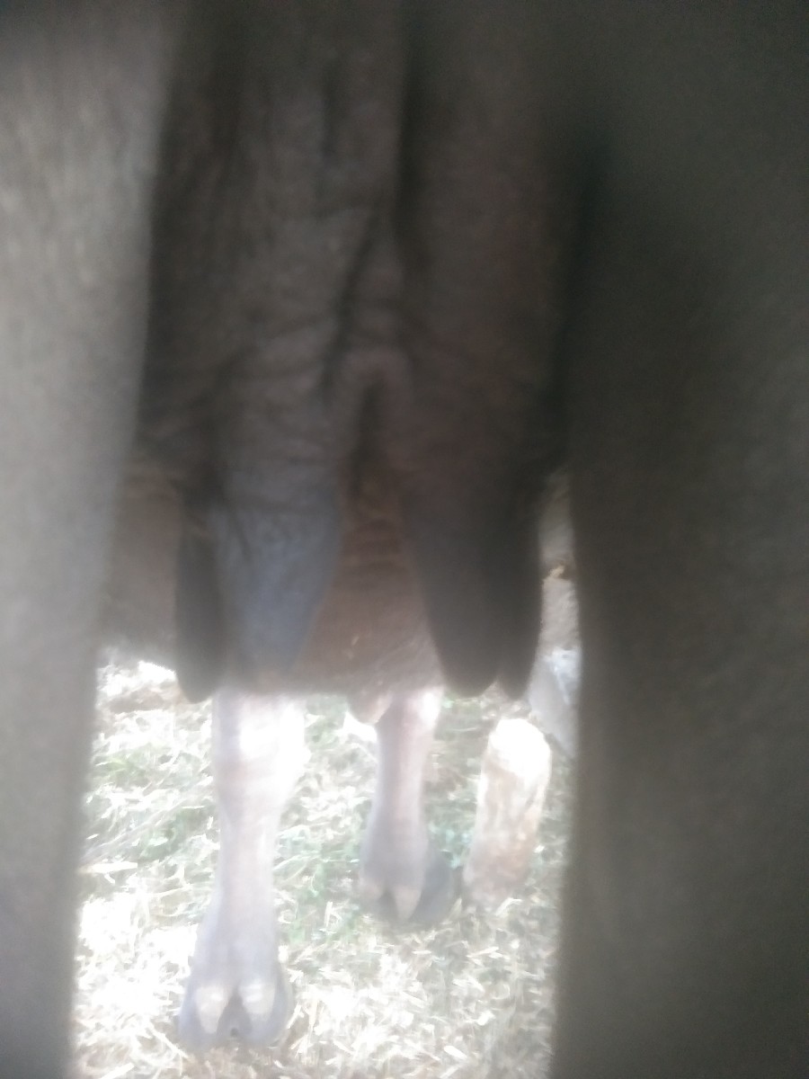 Post Image 3
