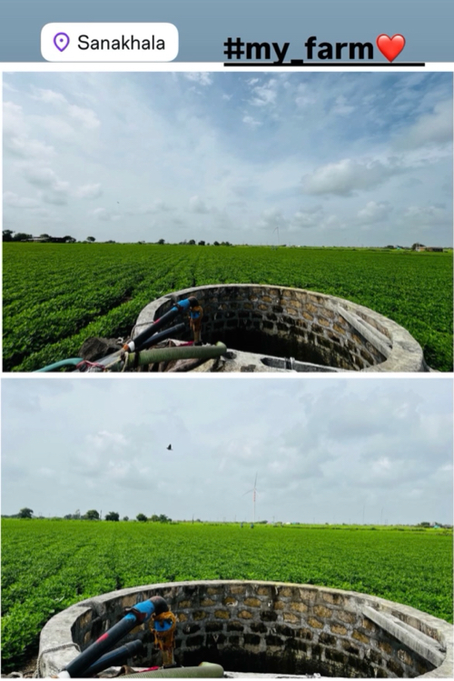 Post Image 3