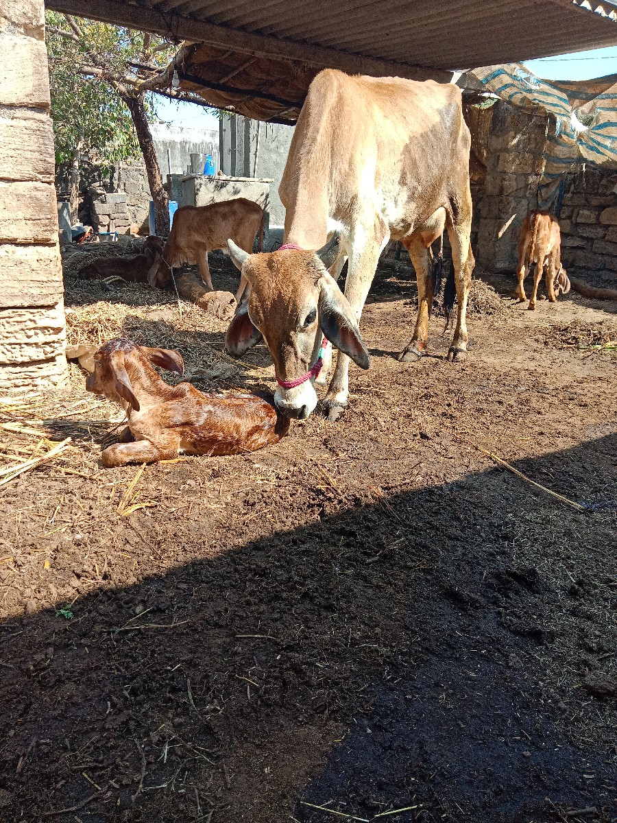 Post Image 2