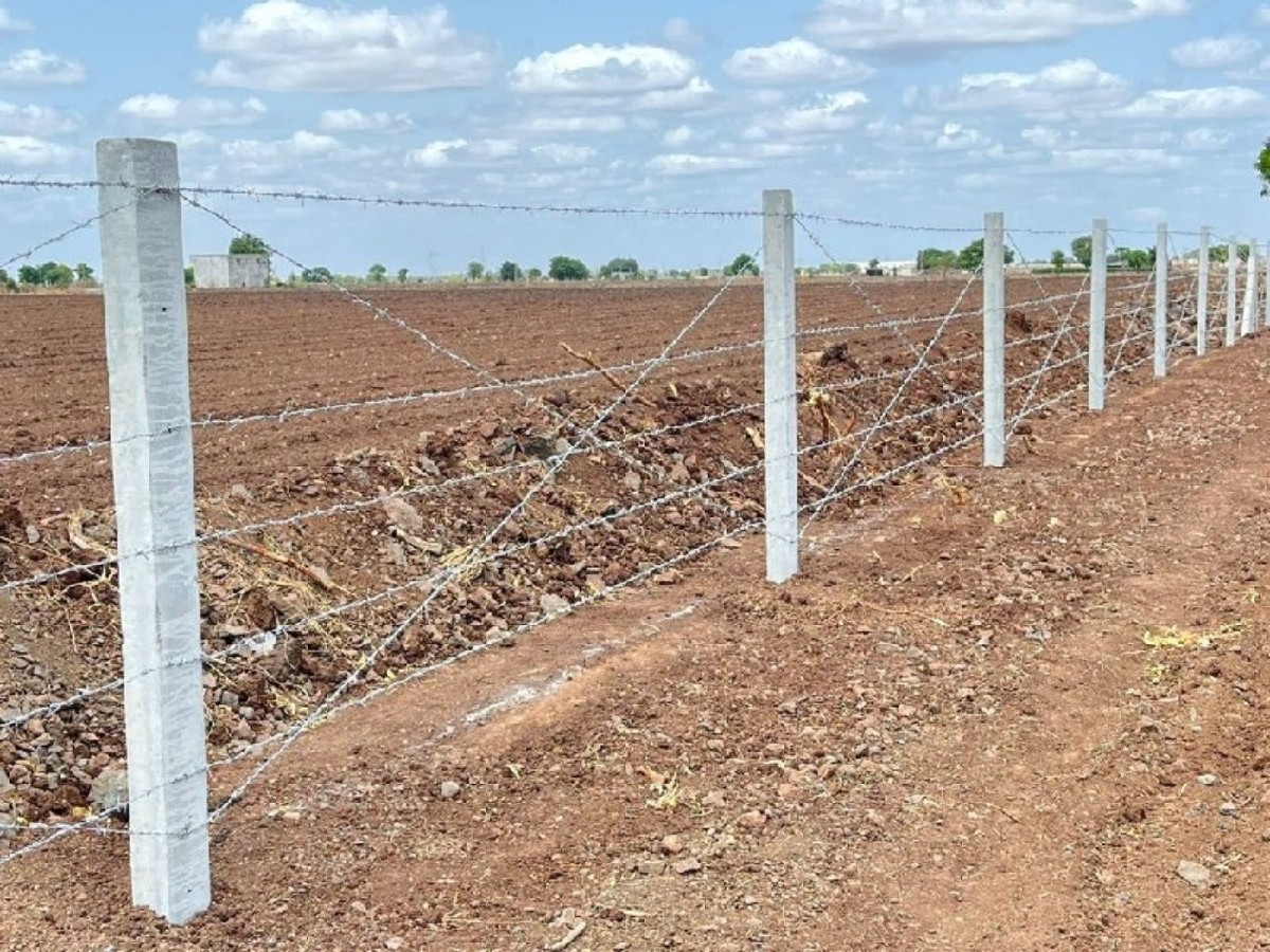 Post Image 6