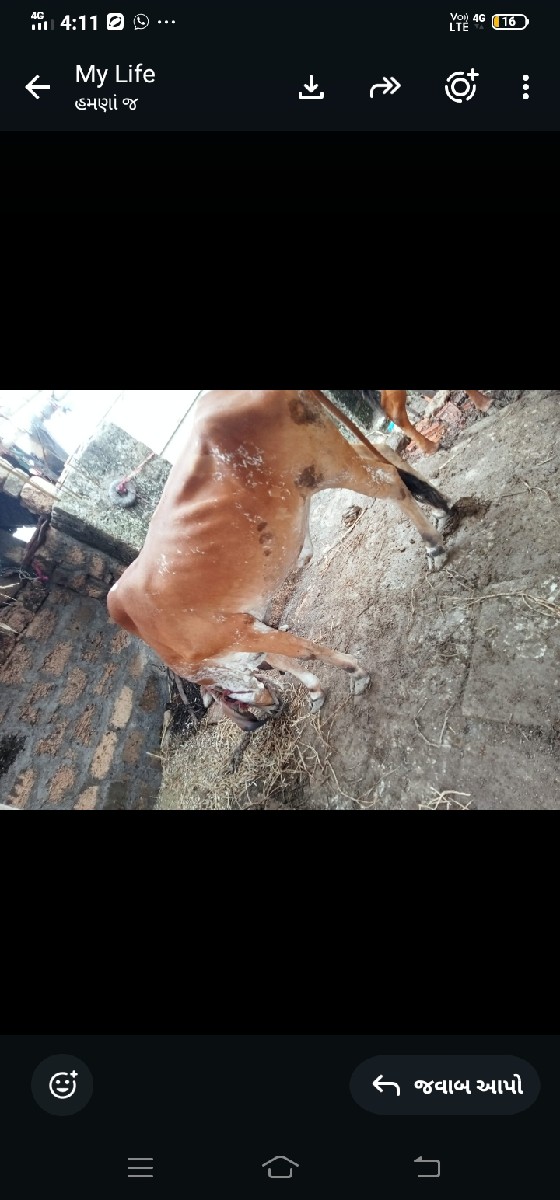 Post Image 2