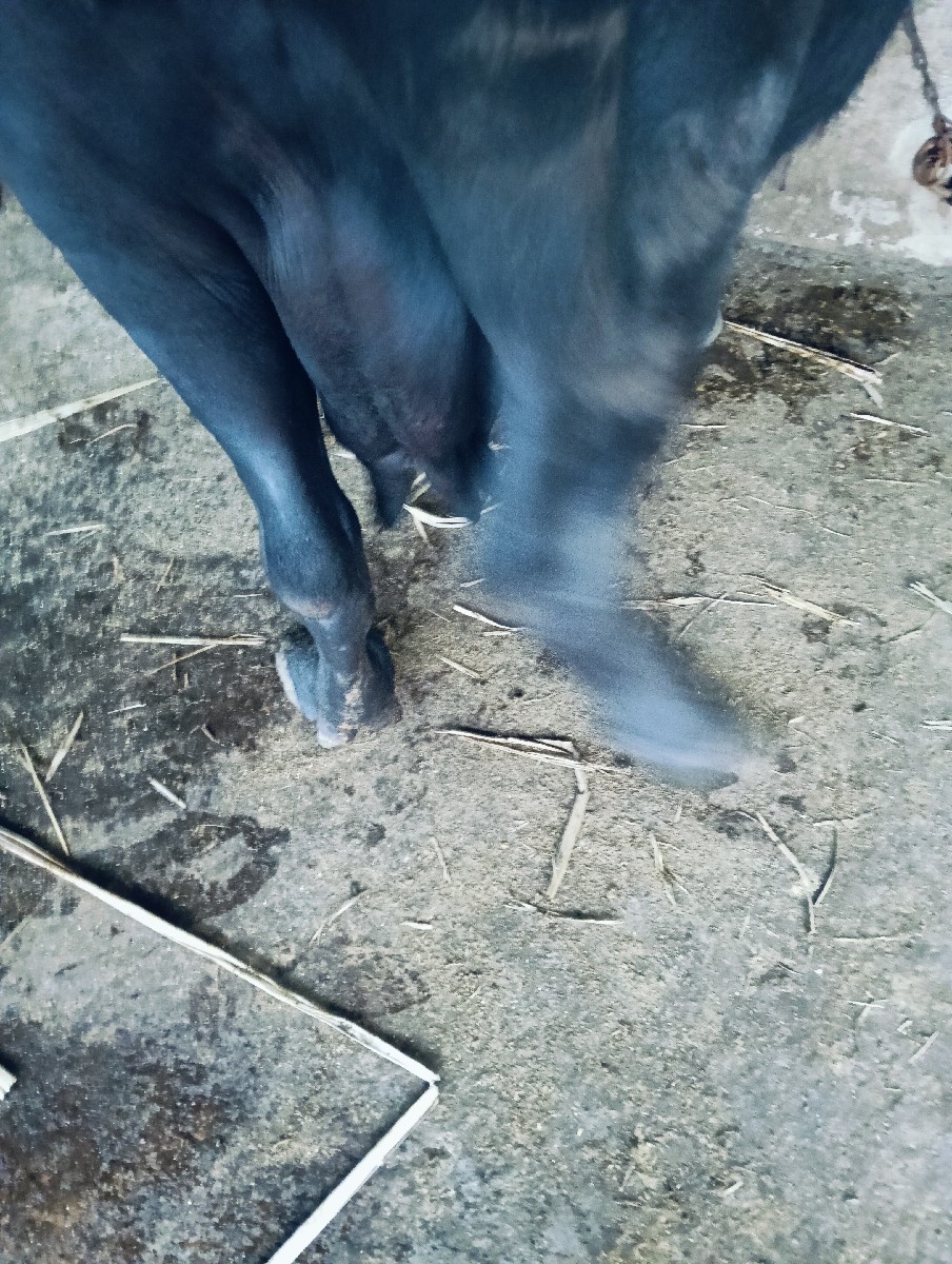Post Image 2