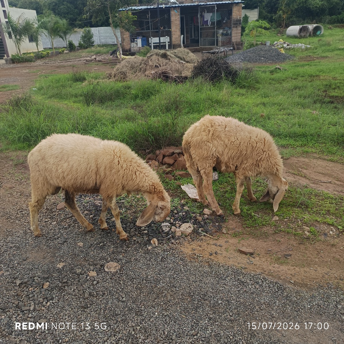 Post Image 3