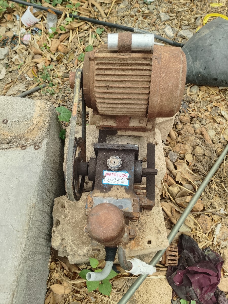 Post Image 3