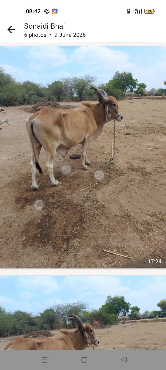 Post Image 6