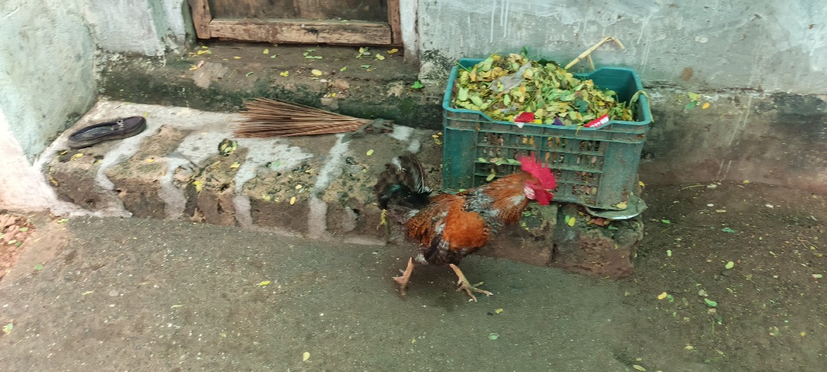 Post Image 2