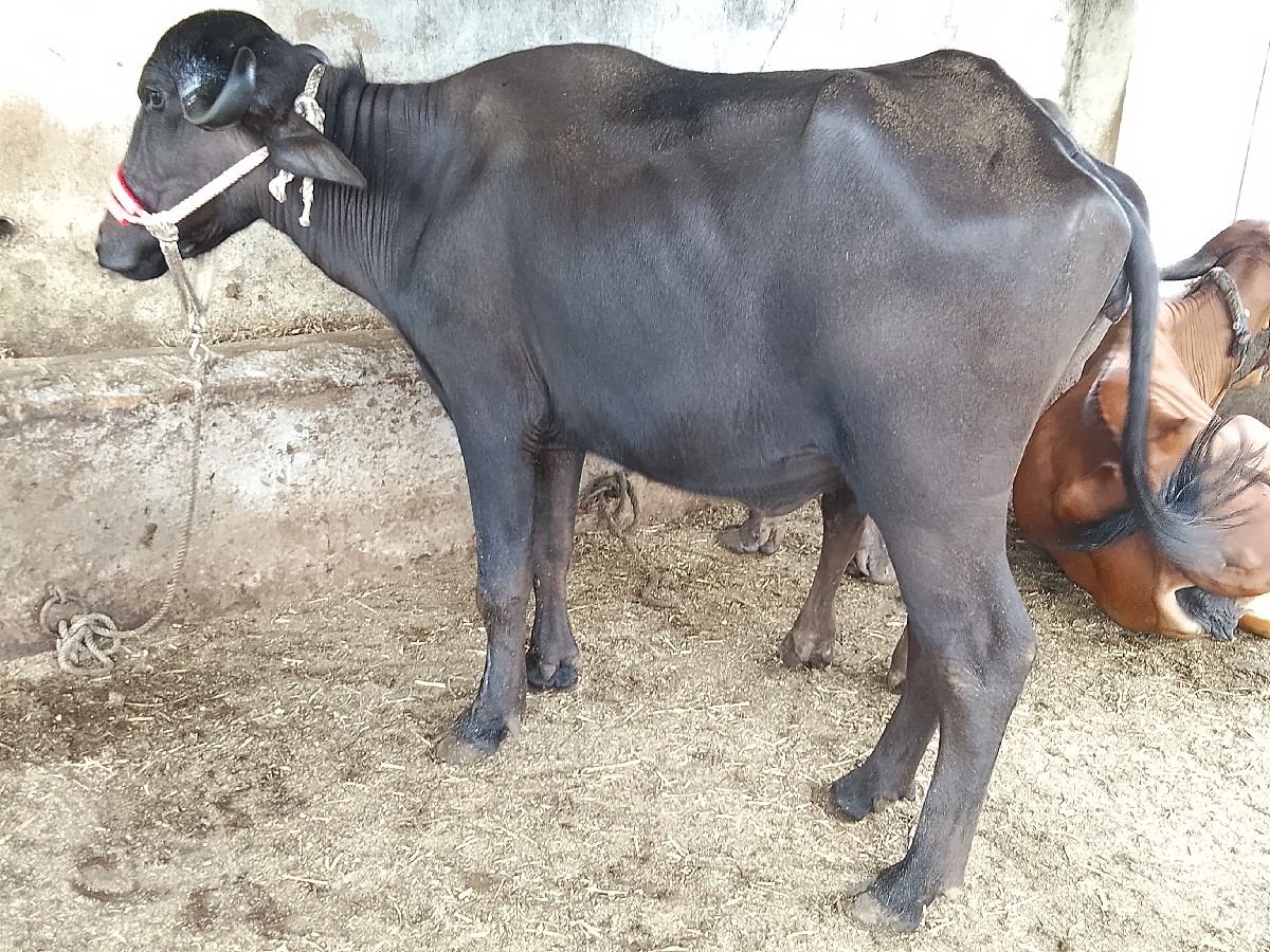 Post Image 5