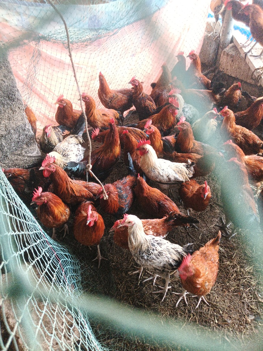 Post Image 3