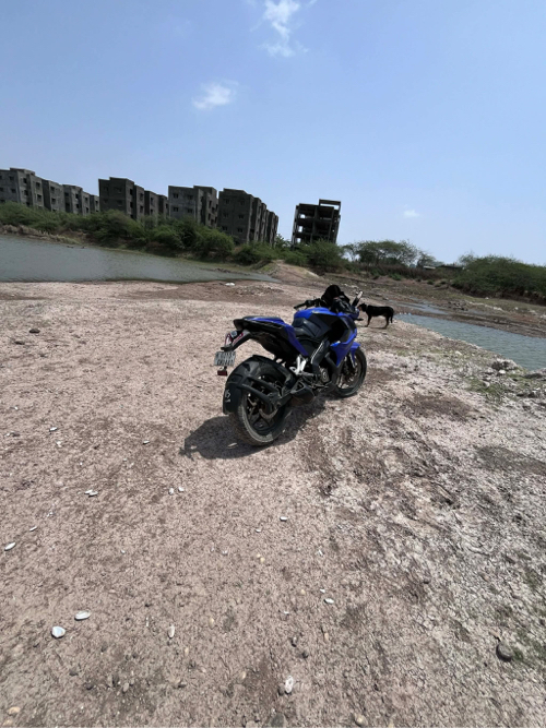 Post Image 3