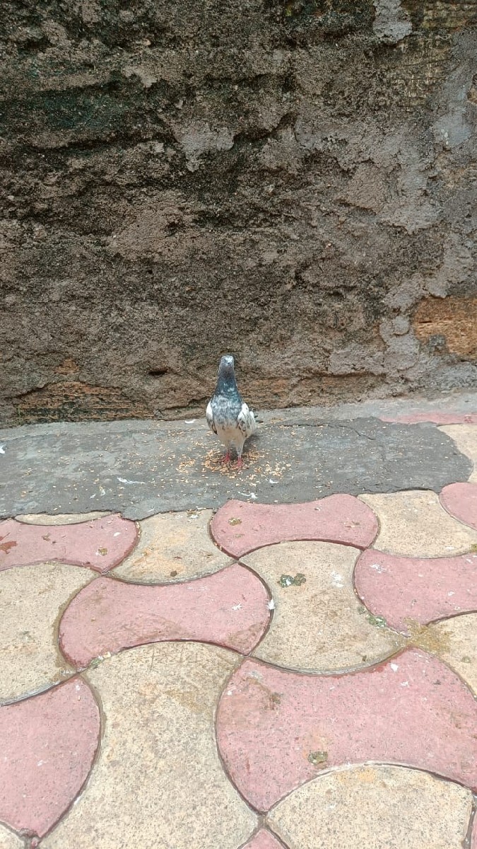 Post Image 2