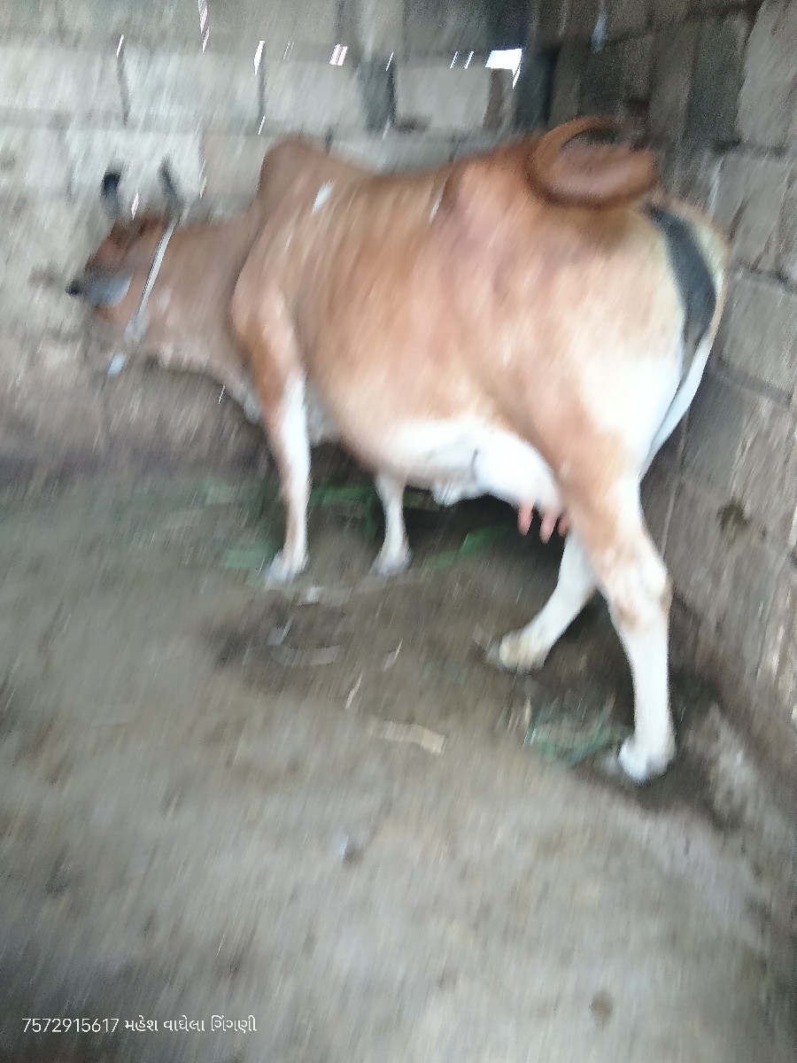 Post Image 2