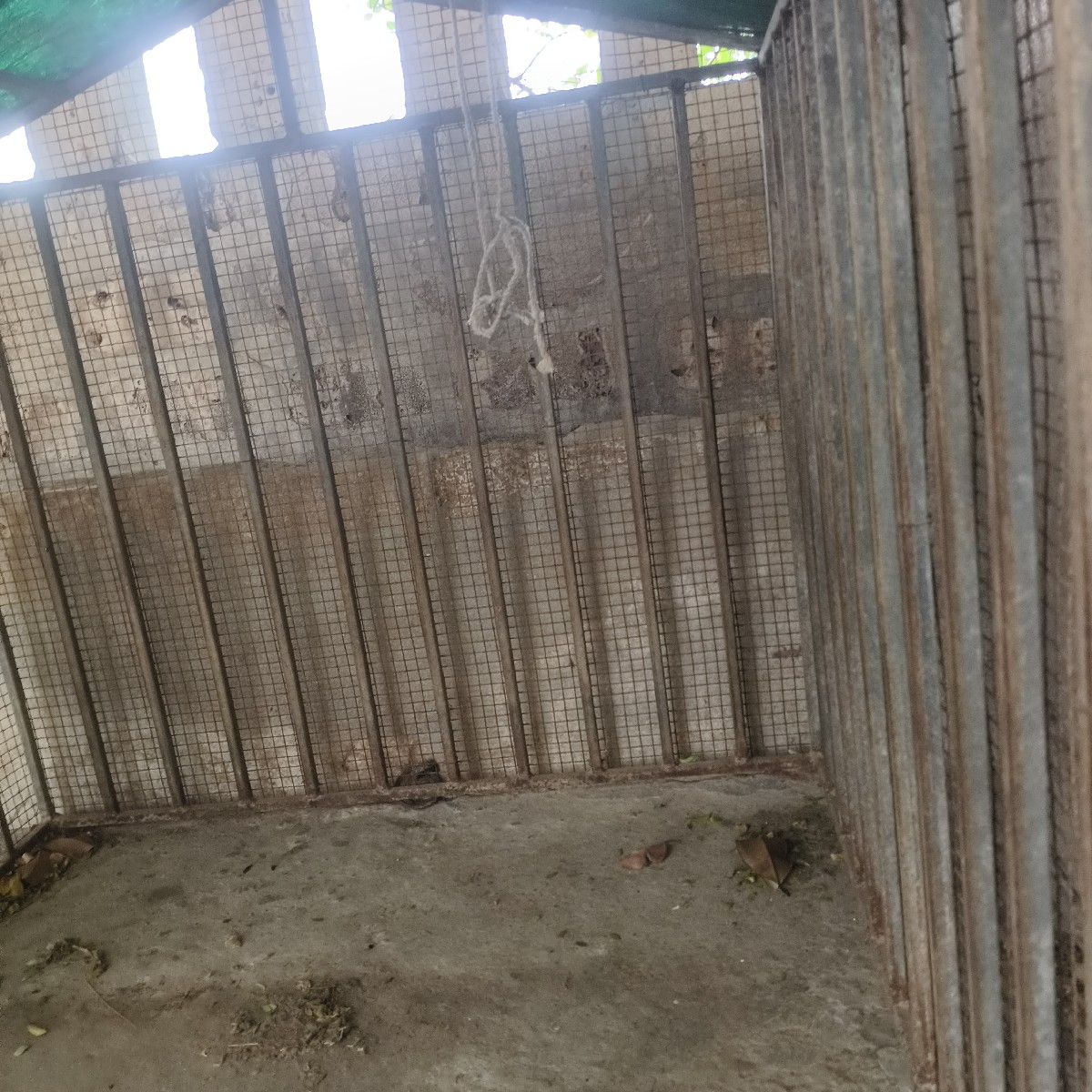 Post Image 3