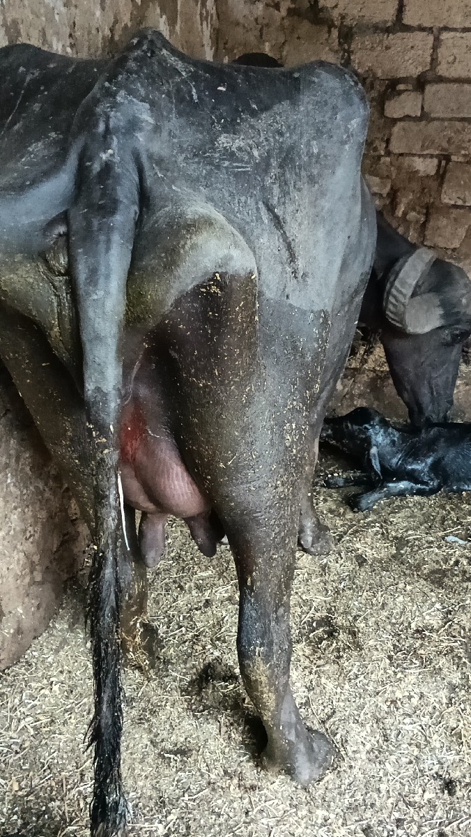 Post Image 2