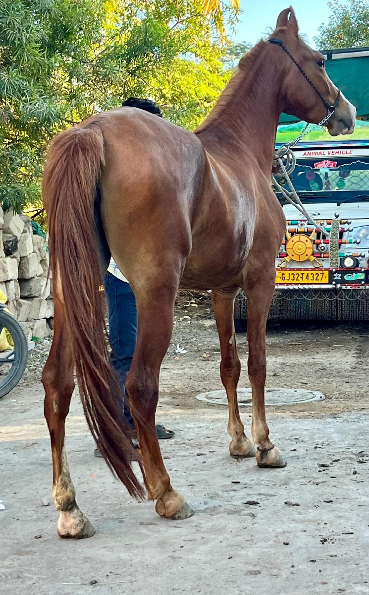Post Image 2