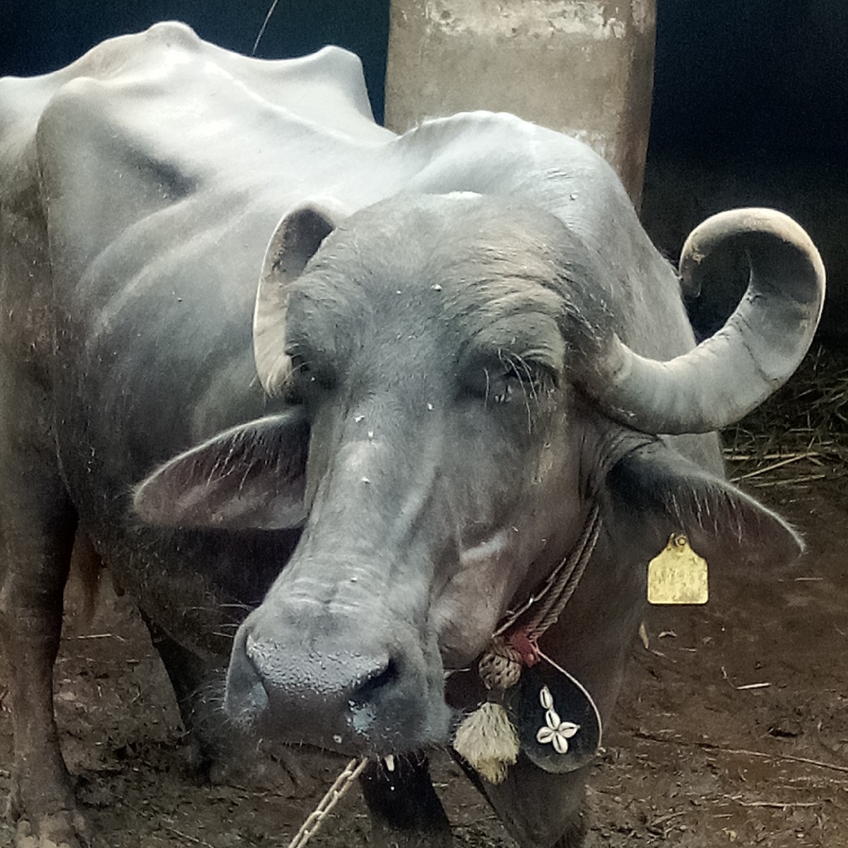 Post Image 3