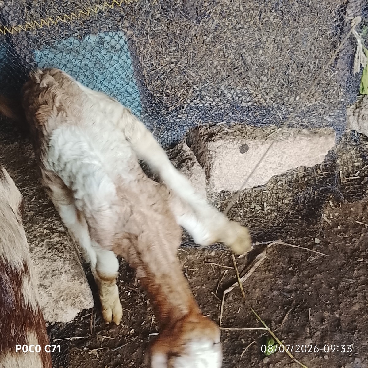 Post Image 3