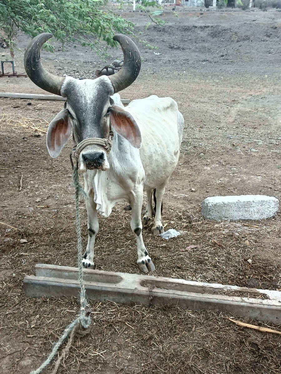 Post Image 2