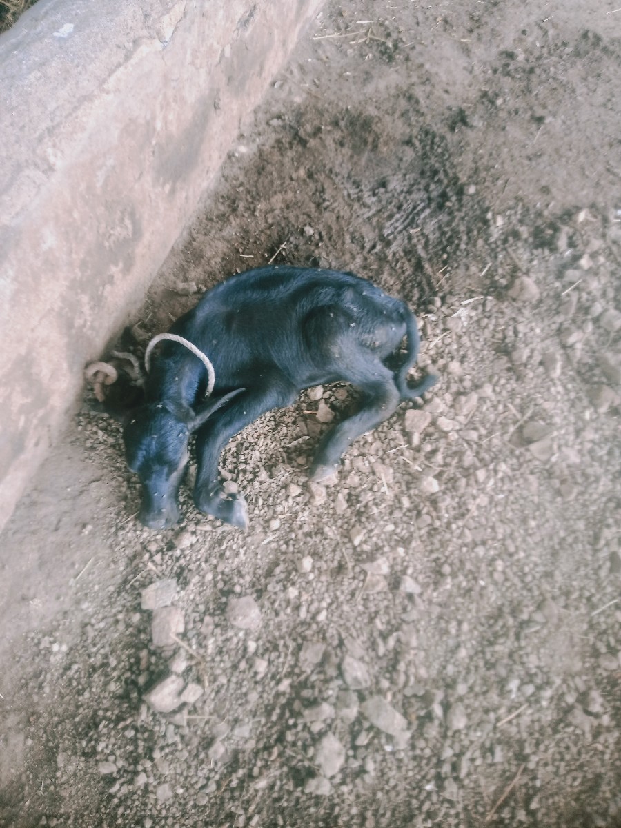 Post Image 3
