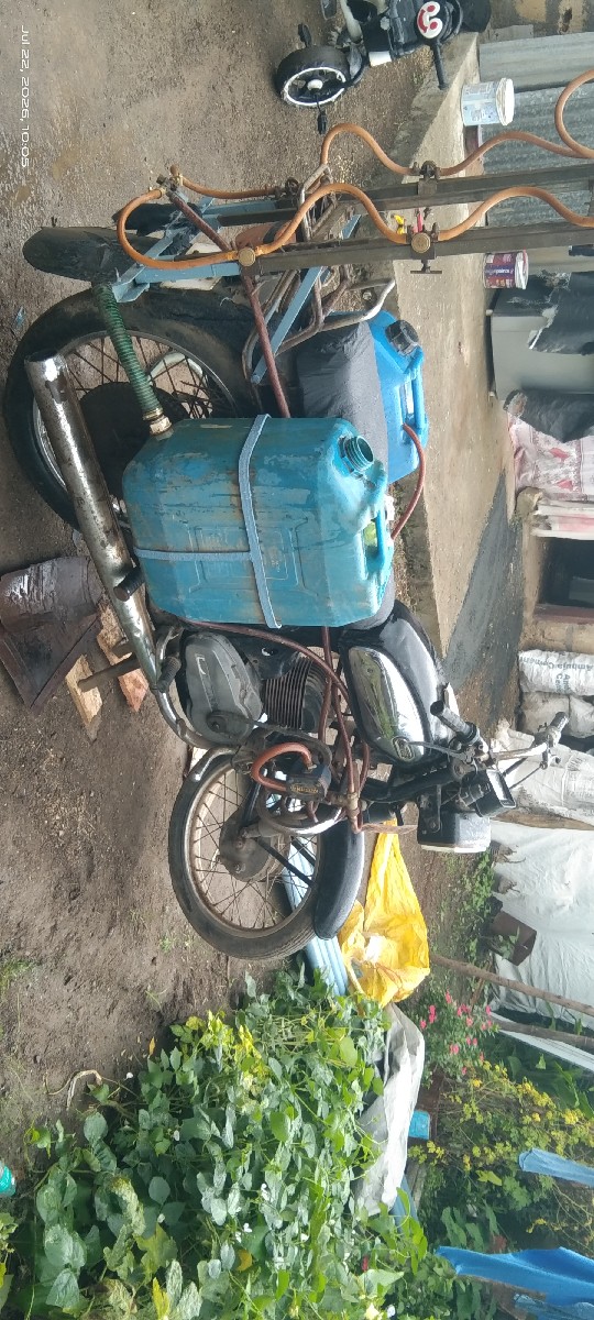 Post Image 3