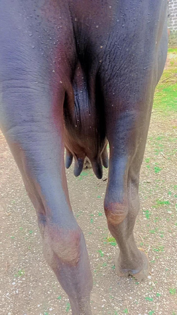 Post Image 2