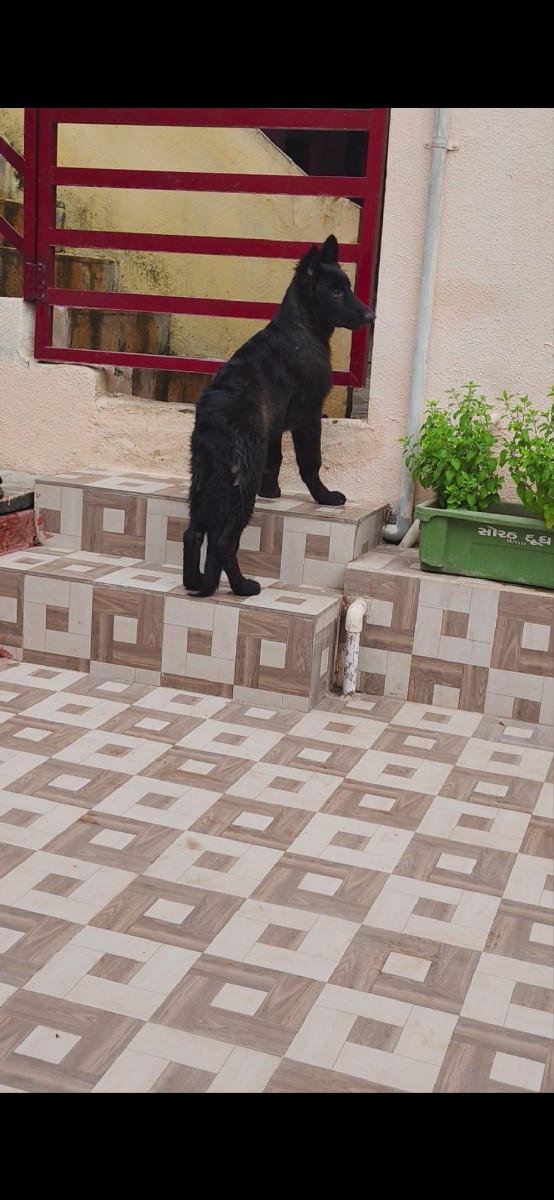 Post Image 2