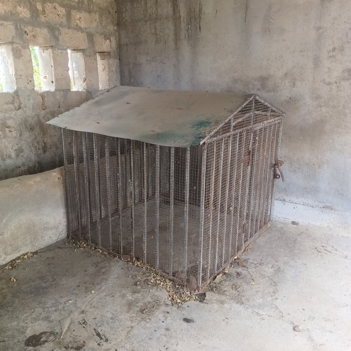 Post Image 1