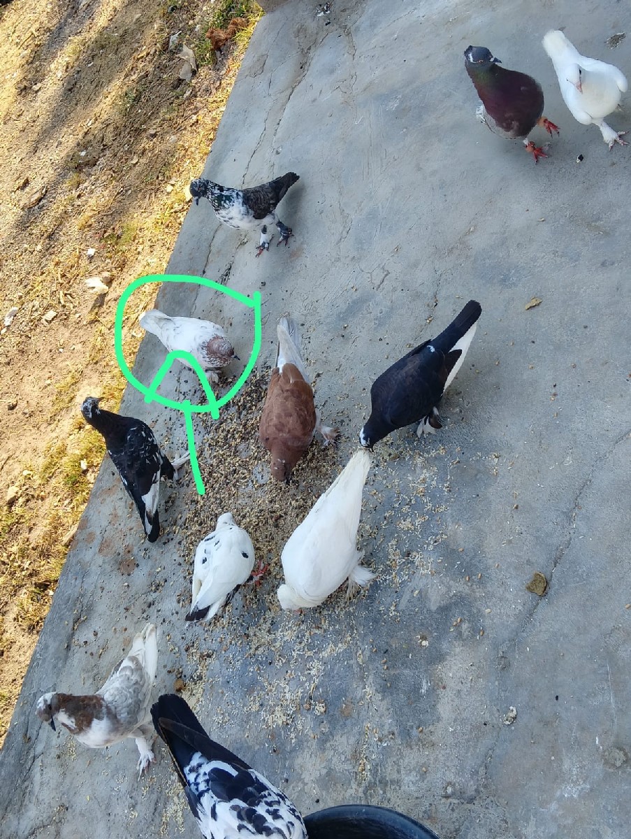 Post Image 3