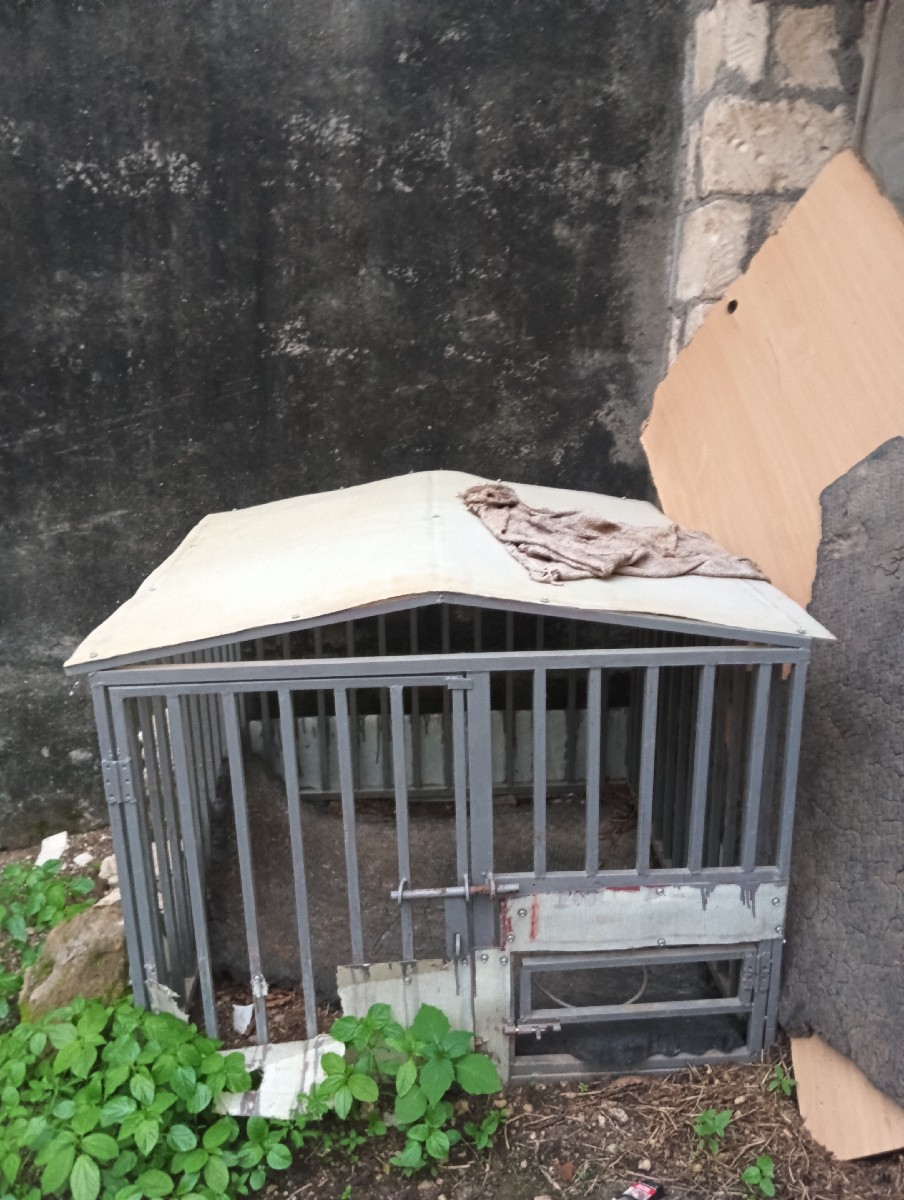 Post Image 3