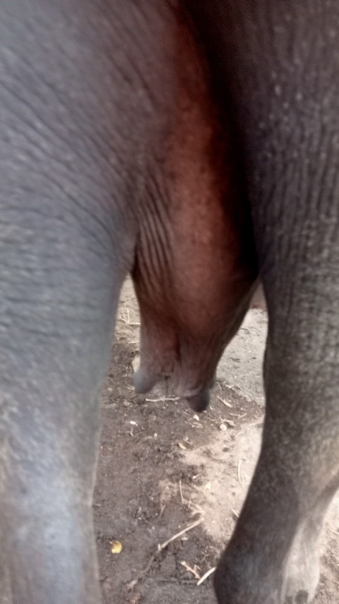 Post Image 3