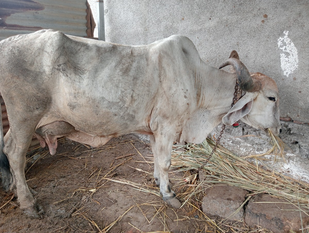 Post Image 2