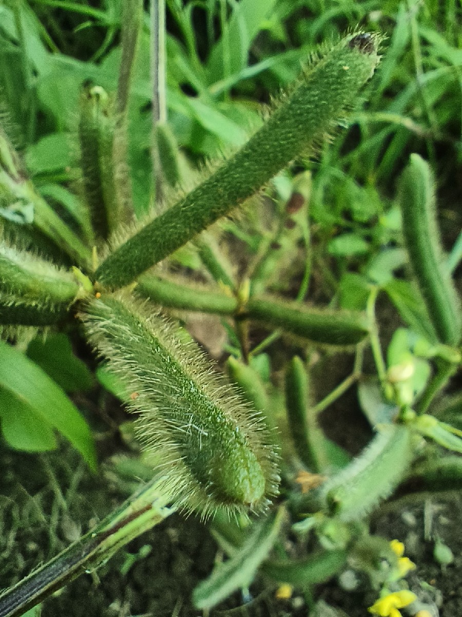 Post Image 5