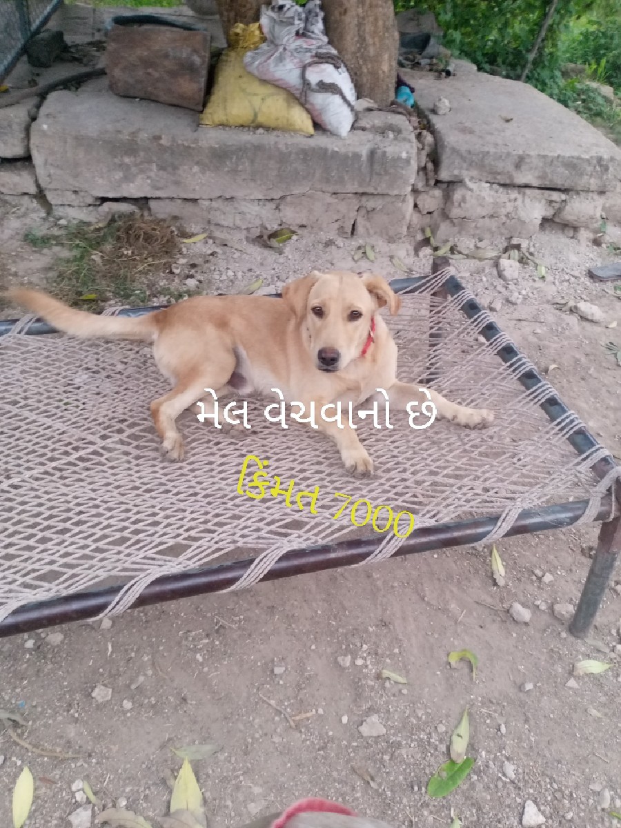 Post Image 2