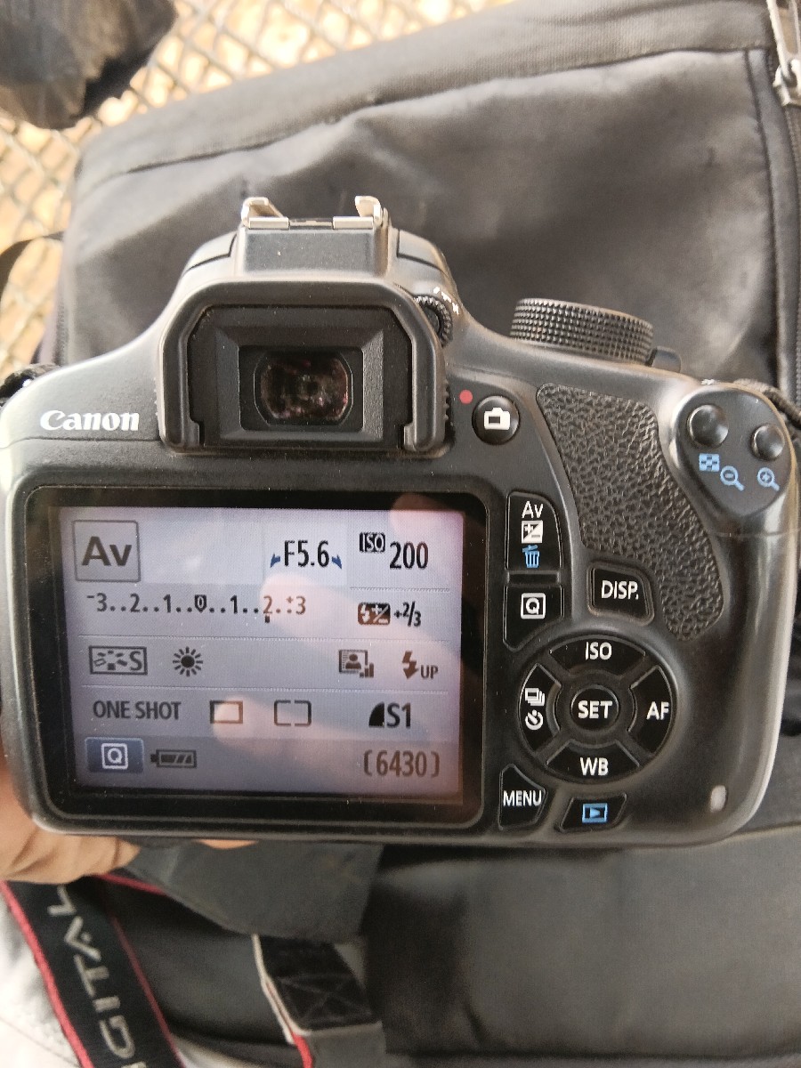 Post Image 2