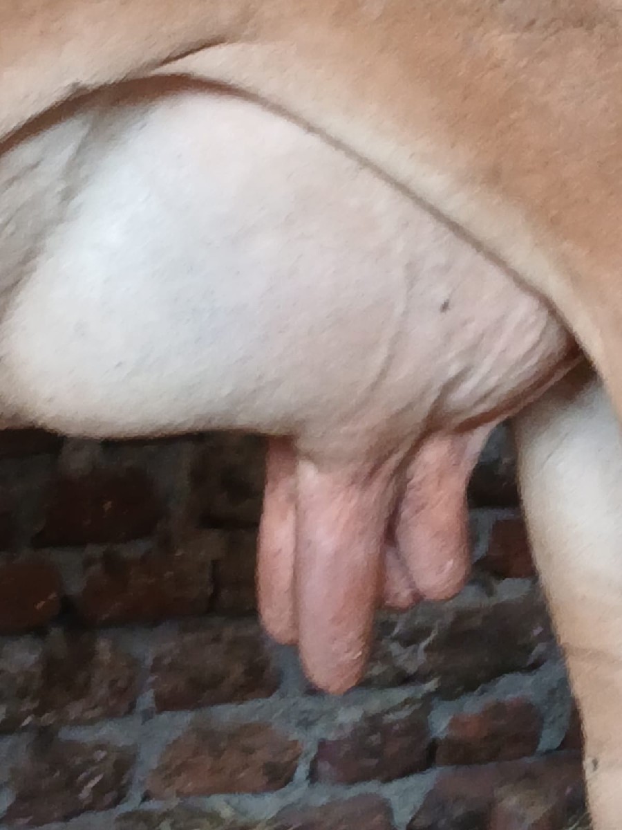 Post Image 2