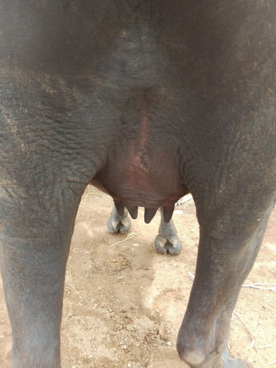 Post Image 2