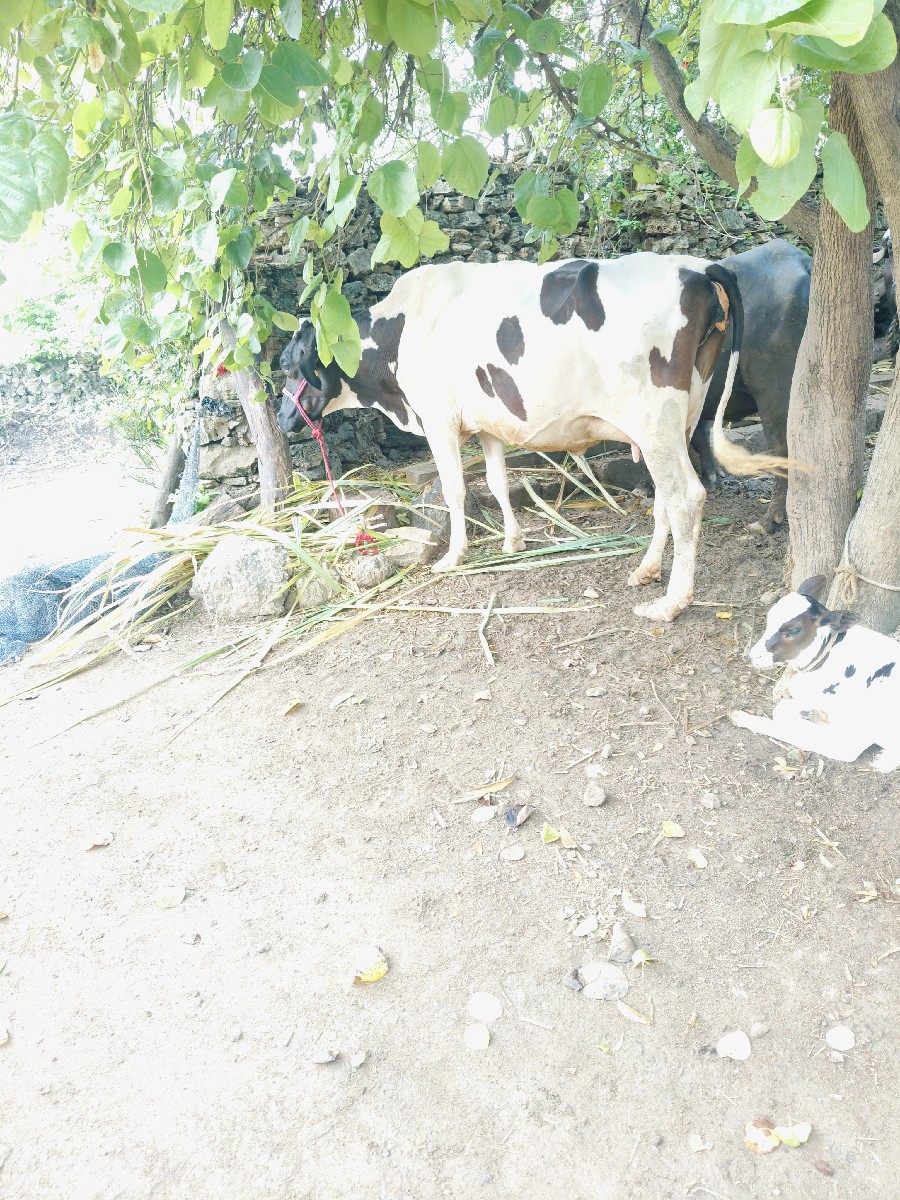 Post Image 2